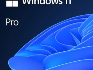 Windows 11 Pro